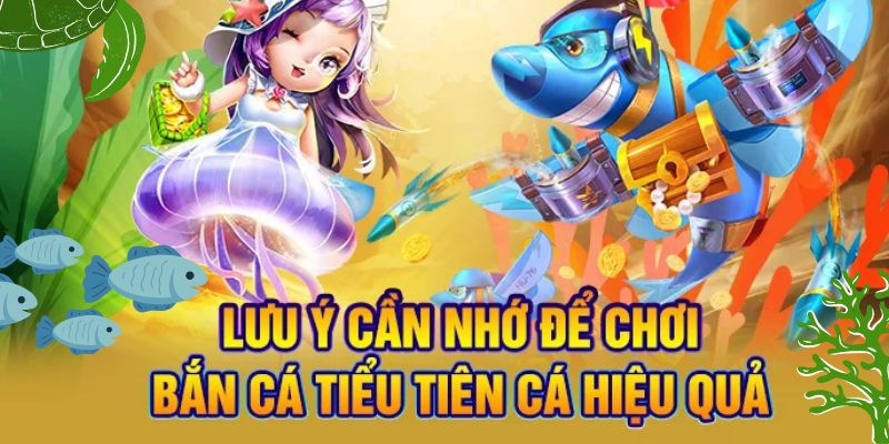 Nhiều bí quyết chơi game cần thiết mà người dùng cần biết để chinh phục các vòng đấu