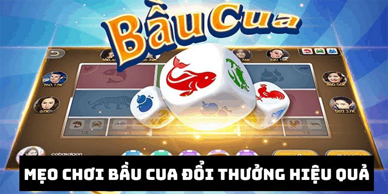 Chiến thuật chơi hiệu quả nhận được phần thưởng cao